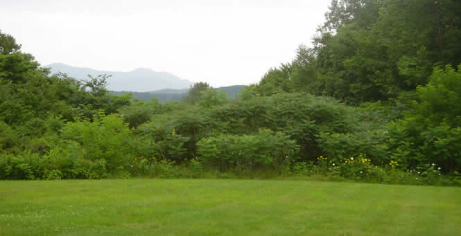 view of Green Mountains from Hyde Park B&B